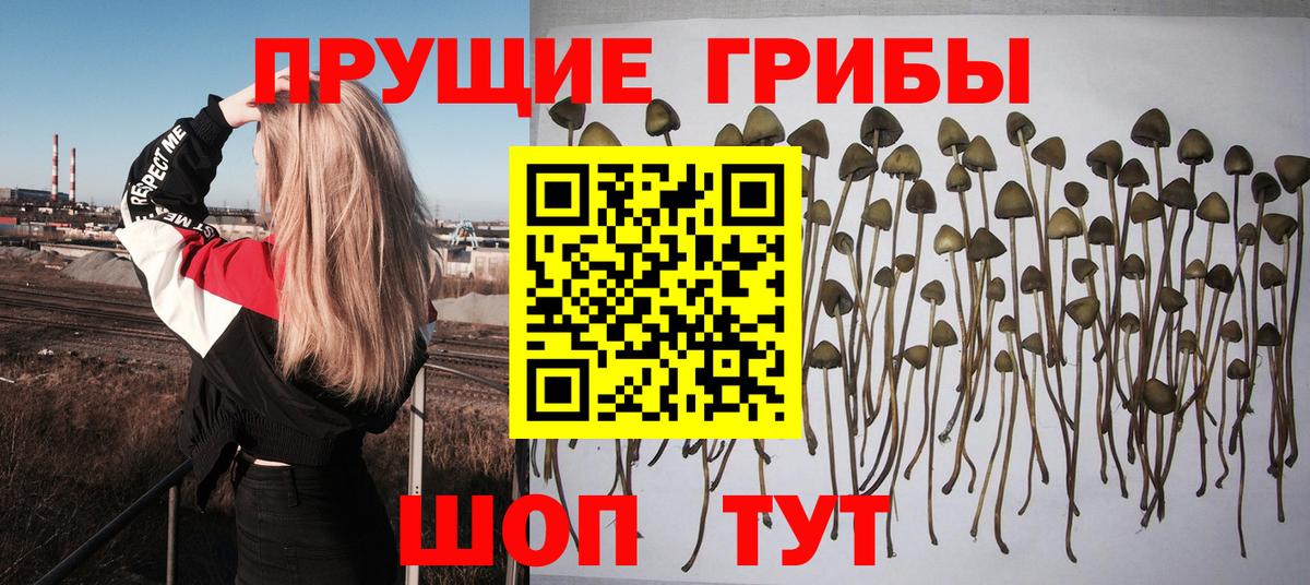 Галлюциногенные грибы GOLDEN TEACHER  Вход с VPN  Партизанск 